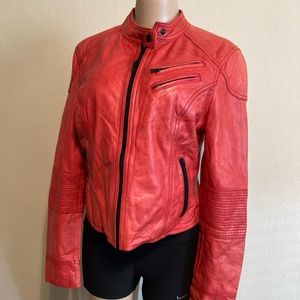 LAST CHANCE! Black Rivet genuine leather moto jacket